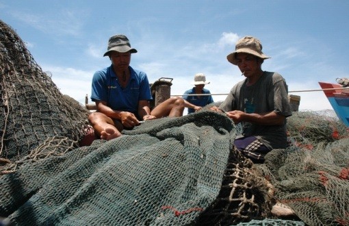 VN aims to catch 1.6 million tons of seafood  - ảnh 1